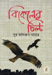 বিকেলের চিল image