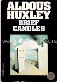 Brief Candles (Flamingo modern classics)