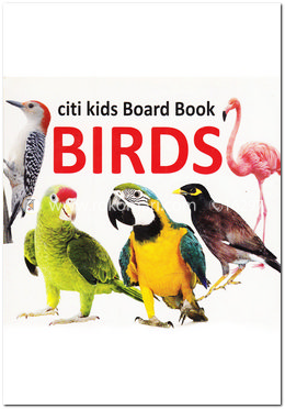 City Kids Boards Book Birds image