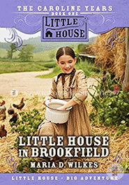 Little House in Brookfield
