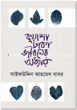 কুয়াশা ঢাকা জীবনের অধ্যায়