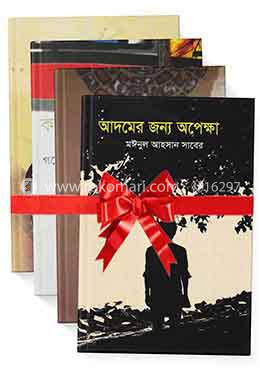 চিরায়ত ও সমকালীন ৪টি উপন্যাসের রকমারি কালেকশন image
