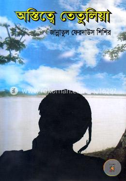 অস্তিত্বে তেতুলিয়া