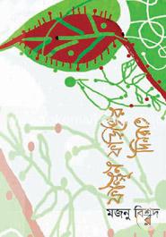 ফাল্গুন ফরিঙের দিনরাত