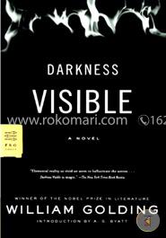 Darkness Visible: A Novel (FSG Classics)