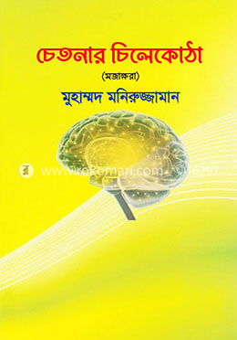 চেতনার চিলেকোঠা