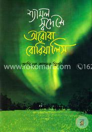 শ্যামল স্বদেশে অরোরা রোরিয়ালিস