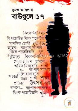 বাউণ্ডুলে-১৭ image