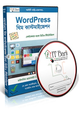 WordPress Theme Customization image