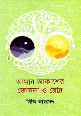 আমার আকাশের জোসনা ও রৌদ্র image