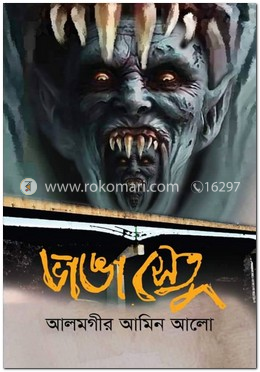 ভাঙা সেতু image