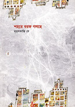 শহরে বরফ গলছে image