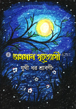 ভাসমান গৃহত্যাগী
