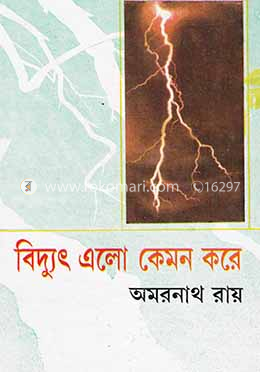 বিদ্যুৎ এলো কেমন করে image