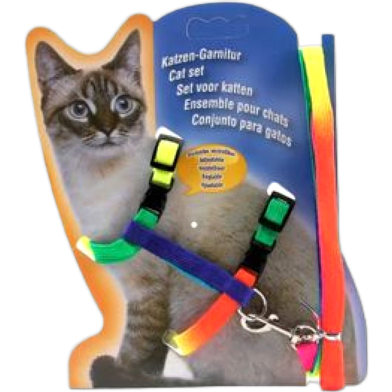 Adjustable Rainbow Harness With Leash image