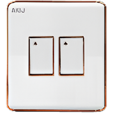 Akij Delight 2 Gang 2 Way Switch image