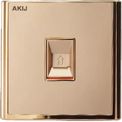 Akij Innova Data Socket : Akij Electricals | Rokomari.com