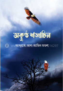 অকুণ্ঠ শঙ্খচিল