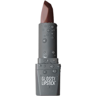 Alix Avien Glossy Lipstick 309 4.5gm image