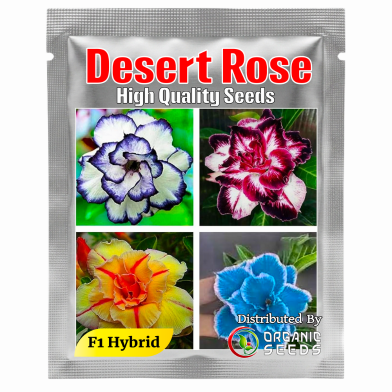 All Season Desert Rose Flower Bonsai Seeds - 5 Pcs image