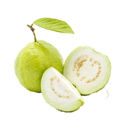 All Season Guava Seeds - 15 Pcs image