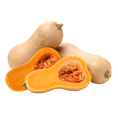 All Season Jupanese Yellow Pumkin 10 Plus Seeds image