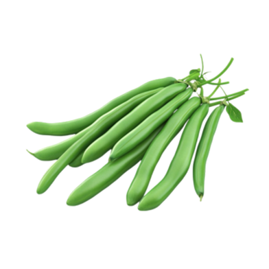 All Season Long Bean Seeds - 30 Pcs image