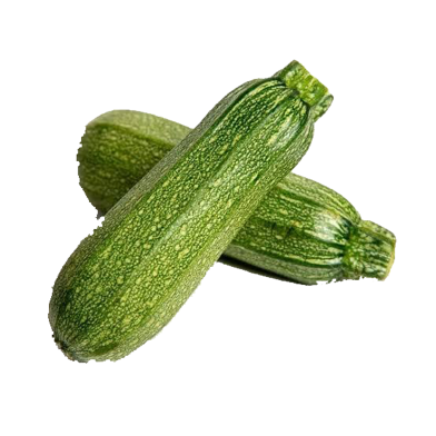 All Season Organic Zucchini Squash Seeds - 5 Pcs image