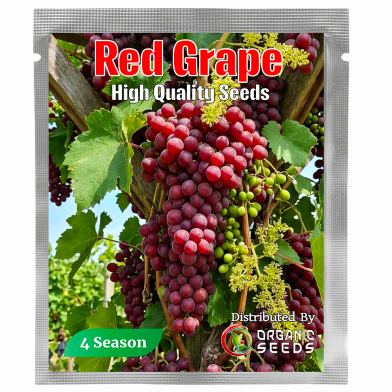 All Season Red Grape Seeds-20Pcs image
