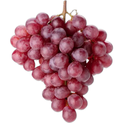 All Season Red Grape Seeds-20Pcs image