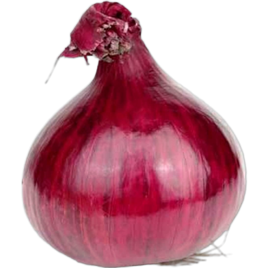All Season Red Onion Seeds image