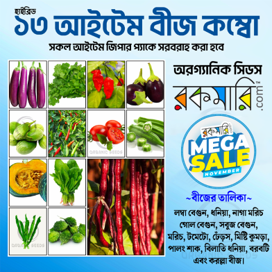 All Season Seeds Combo image