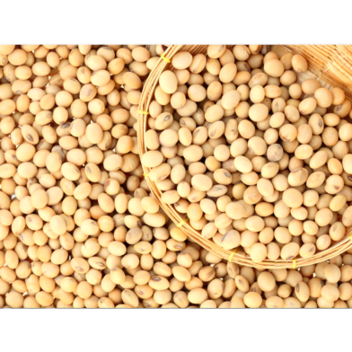 All Season Soybean Tree Seeds - 30 Pcs image