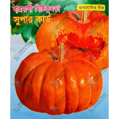 Source Image