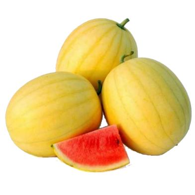 All Season Yellow Watermelon Bonsai Seeds image
