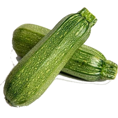 All Season Zucchini Squash Seeds - 5 Pcs image