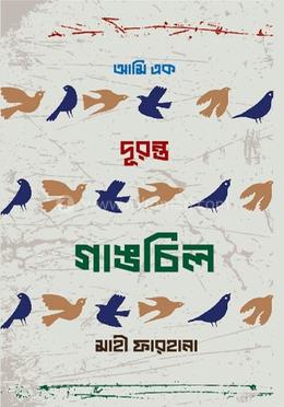 আমি এক দুরন্ত গাঙচিল image