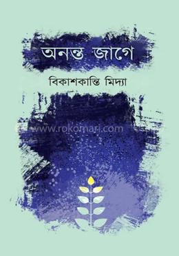 অনন্ত জাগে