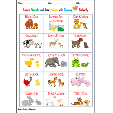 Animals And Babies image