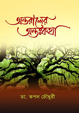 অন্তরালের অন্তঃকথা