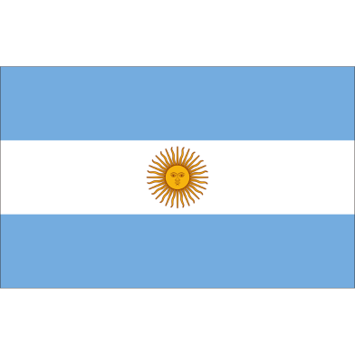 Argentina Flag FIFA World Cup 2026 Printed Polyester Fabric image
