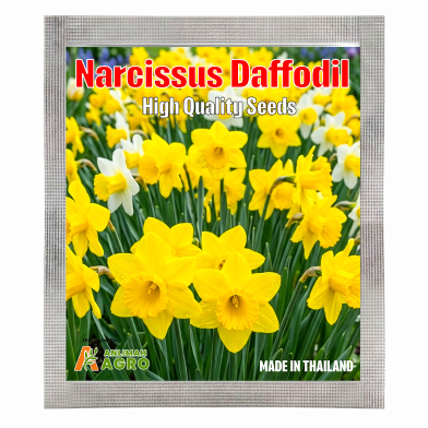 Anlimah Agro Australian Narcissus Daffodil Seeds (Intact Pack) 0.25gm image