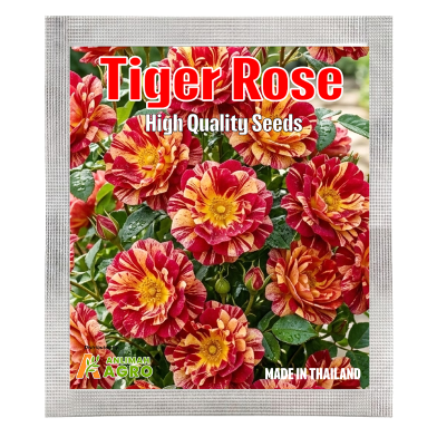 Authentic Mix Tiger Roses Flower Seeds (Intack Pack) 0.25 gm image