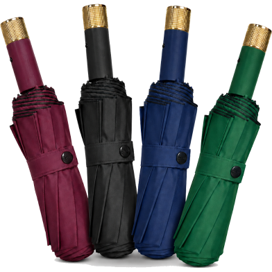 BMW Auto Open And Auto Close Umbrella 16 Ribs image