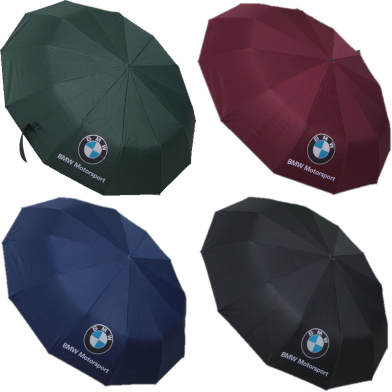 BMW Windproof 12 Sticks Auto Open and Close Umbrella image