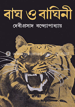 বাঘ ও বাঘিনী image
