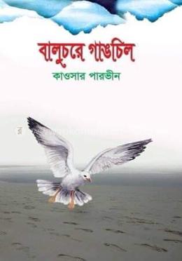 বালুচরে গাঙচিল