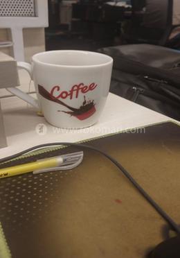 বাংলাদেশের প্রত্ন ইতিহাস