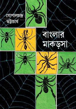 বাংলার মাকড়সা image
