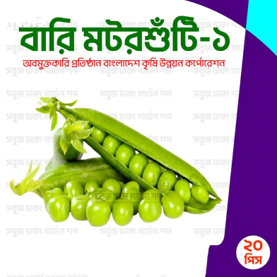 Bari Motorshuti-1 image